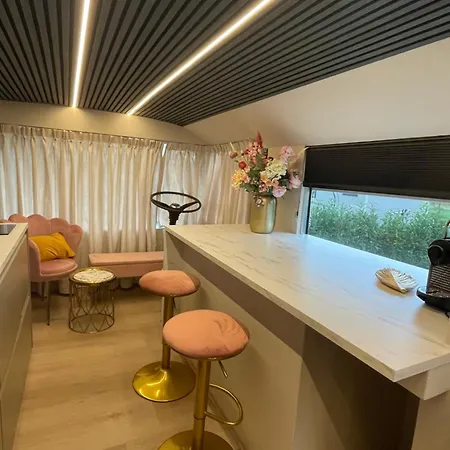 Bed&bus Met Dakterras Rucphen